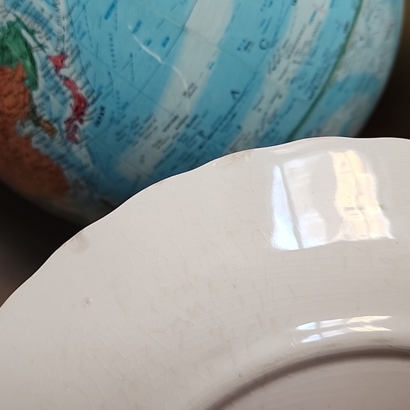 Vintage Blue Ridge Southern Potteries handpainted Nova Rose dinner plates - Picture 9 of 12